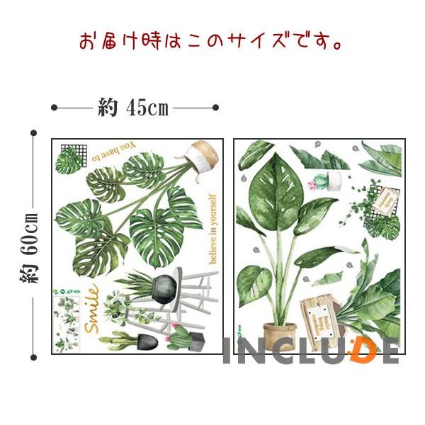 ウォールステッカー モンステラ リーフ クルシア・ロゼア フィカス ウンベラータ オーガスター コーヒー 葉 ヤシの葉 グリーン |  | 03