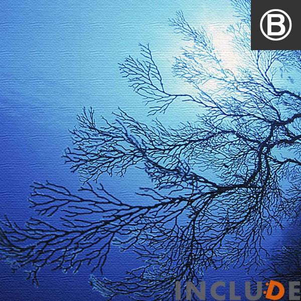 アートパネル ファブリックボード 楠哲也 海 南国 波打ち際 砂浜 ビーチ さんご 珊瑚 アイランド 島 ダイビング 海中 海底 表現力 熱帯魚 水中カメラ 個性 |  | 07