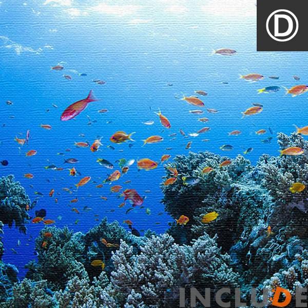 アートパネル ファブリックボード 楠哲也 海 南国 波打ち際 砂浜 ビーチ さんご 珊瑚 アイランド 島 ダイビング 海中 海底 表現力 熱帯魚 水中カメラ 個性 |  | 09