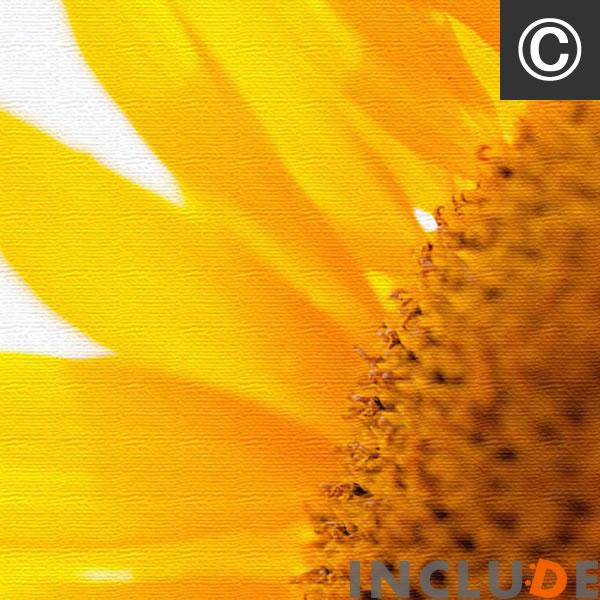 ファブリックボード 赤い花 リーフ 桜 チェリーブロッサム ひまわり 向日葵 サンフラワー ミツバチ 表現力 個性 |  | 08