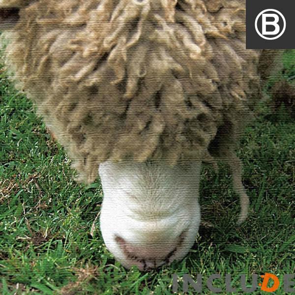 ファブリックボード クリエーター インコ コンゴウインコ 羊 メリノ フラミンゴ 鳥 動物 表現力 個性 |  | 07