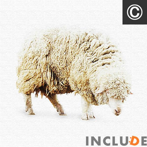 ファブリックボード クリエーター インコ コンゴウインコ 羊 メリノ フラミンゴ 鳥 動物 表現力 個性 |  | 08