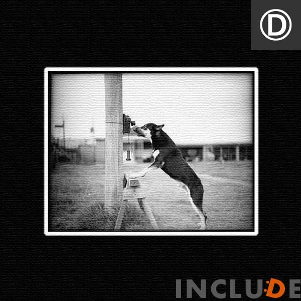 ファブリックボード CD 収集 音楽 MUSIC セピア レトロ 市街 レコード レコード針 ドッグ 犬 犬が電話 モノクロ 白黒 表現力 個性 |  | 09