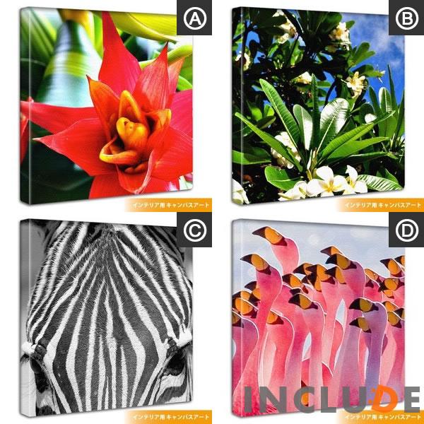 ファブリックボード クリエーター 花 南国の花 トロピカル しまうま ゼブラ フラミンゴ ピンク ポスター モノクロ 白黒 表現力 個性 |  | 05