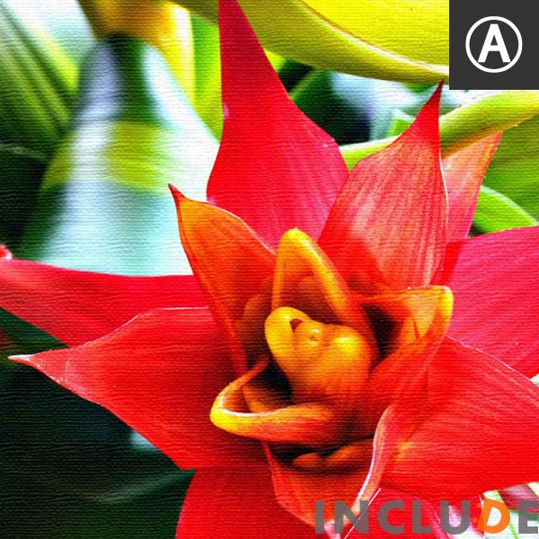 ファブリックボード クリエーター 花 南国の花 トロピカル しまうま ゼブラ フラミンゴ ピンク ポスター モノクロ 白黒 表現力 個性 |  | 06