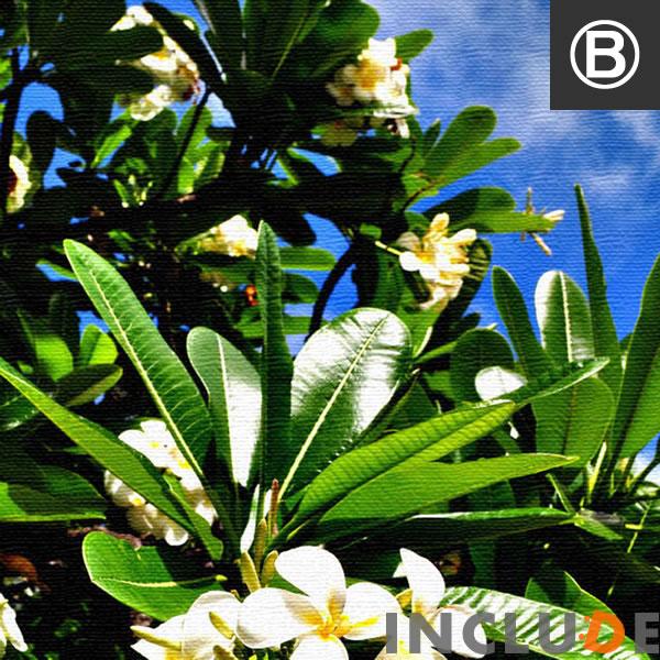 ファブリックボード クリエーター 花 南国の花 トロピカル しまうま ゼブラ フラミンゴ ピンク ポスター モノクロ 白黒 表現力 個性 |  | 07