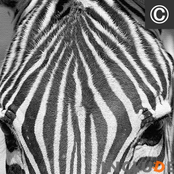 ファブリックボード クリエーター 花 南国の花 トロピカル しまうま ゼブラ フラミンゴ ピンク ポスター モノクロ 白黒 表現力 個性 |  | 08