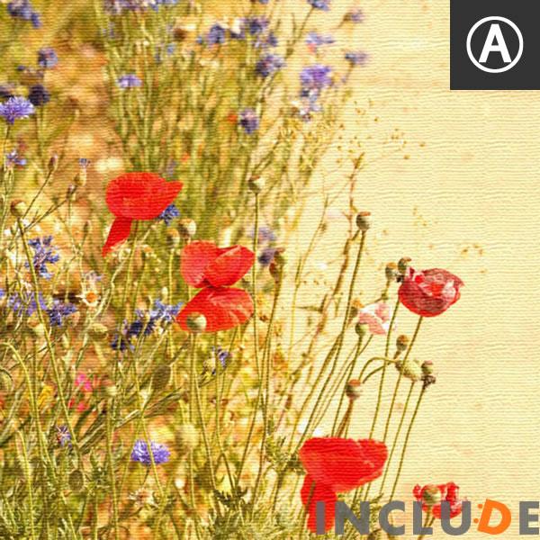 ファブリックボード クリエーター 花 ポピー レンゲ 羽 砂浜 風景 教会 セントメアリー セントピーターズ シカ ポスター モノクロ 白黒 |  | 06