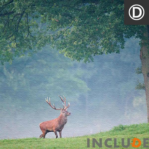ファブリックボード クリエーター 花 ポピー レンゲ 羽 砂浜 風景 教会 セントメアリー セントピーターズ シカ ポスター モノクロ 白黒 |  | 09