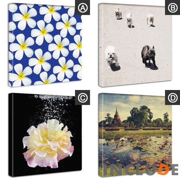 アートパネル クリエーター 白い花 フレブル フレンチブル 花 水滴 遺跡と睡蓮 アユタヤ タイ マレーシア カンボジア ポスター モノクロ 白黒 個性 |  | 05