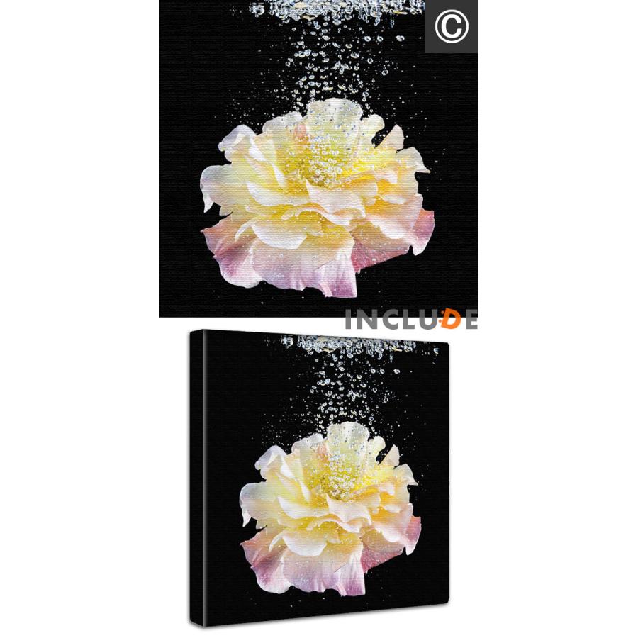 アートパネル クリエーター 白い花 フレブル フレンチブル 花 水滴 遺跡と睡蓮 アユタヤ タイ マレーシア カンボジア ポスター モノクロ 白黒 個性 |  | 08