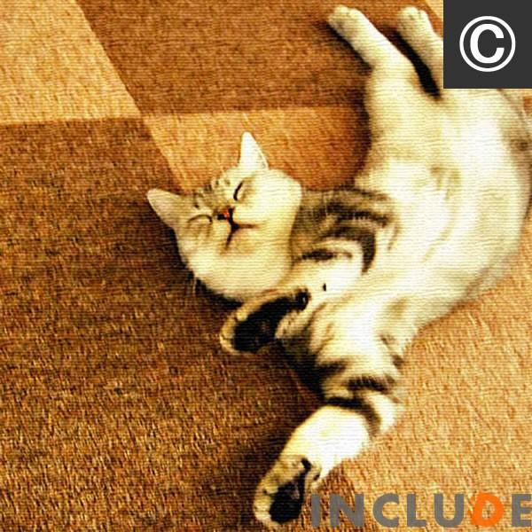 アートパネル クリエーター 猫 ネコ 子猫 黒猫 ベンガル サイベリアン マンクス ブリティッシュロングヘア ポスター モノクロ 白黒 セピア 表現力 個性 |  | 08