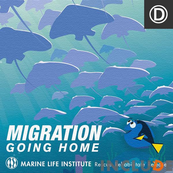 アートパネル ファインディング ニモ 顔アップ ファニー ファインディング ドリー ベイリー 7本足のタコ ハンク マンタ エイ先生 ニモ ドリー Pix 0055inc Includeysp 通販 Yahoo ショッピング