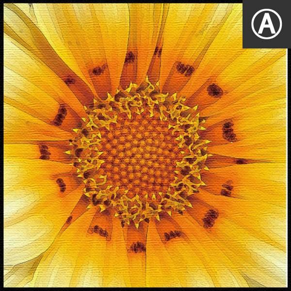 アートパネル ファブリックボード ヒマワリ イエロー 黄色 モザイク ハート 星条旗 アメリカ ビューティー アイライン セクシーアイ 模様 カフェ オブジェ |  | 06