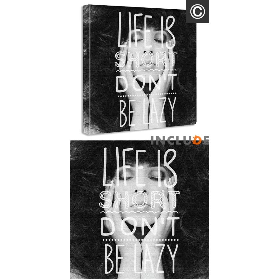 アートパネル ファブリックボード タイポグラフィ マスタッシュ ひげ 髭 男前 動物柄 ヒョウ柄 花びら カフェ レトロ モノクロ 世界地図 ディスプレイ オブジェ Pop 1610iinc Includeysp 通販 Yahoo ショッピング