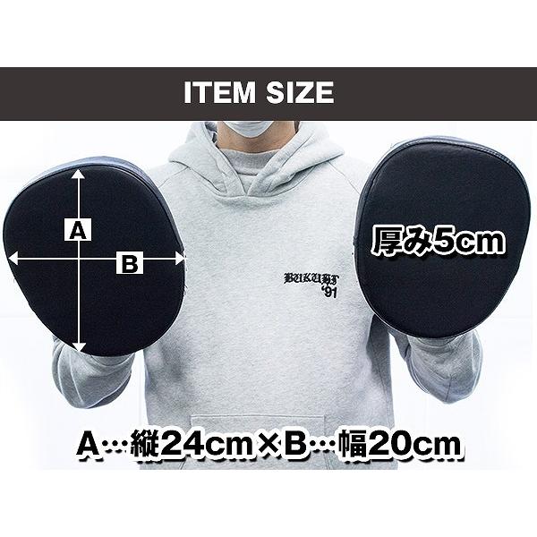 パンチミット トレーニング ボクシング 空手 格闘技 ムエタイ キック ミット 打ち 練習 筋トレ スパーリング カラー 黒 / 赤 |  | 04