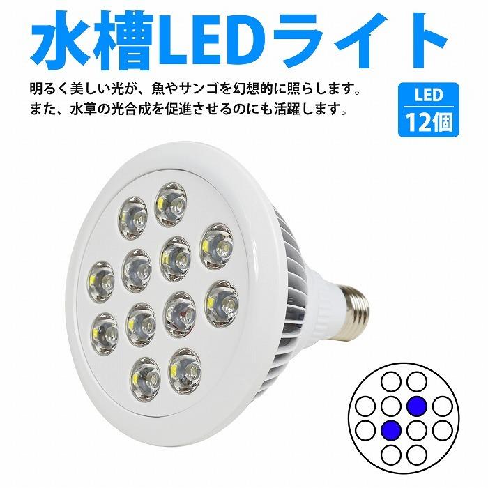 水槽 用 スポット ライト 24W 電球 12LED 青2白10 口金 E26