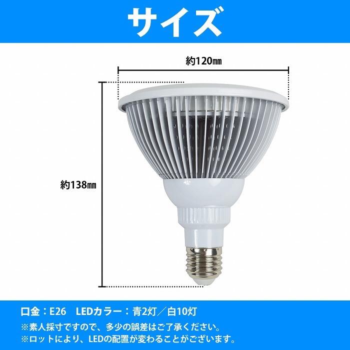 水槽 用 スポット ライト 24W 電球 12LED 青2白10 口金 E26