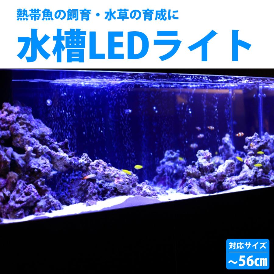 熱帯魚用LEDライト 60cm-65cm 水槽用 照明 LED ライト ブルー×ホワイト 青/白 シルバー枠
