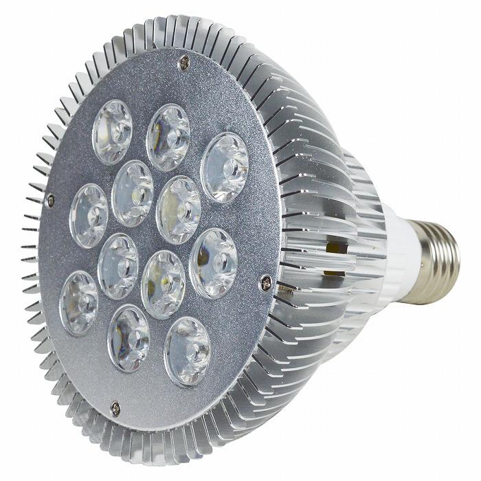 青10白2】24W(2W×12) 電球 E26 口金 水槽 用 照明 植物育成 青10白2】24W(2W×12) 電球 E26 口金 水槽 用 照明 植物育成