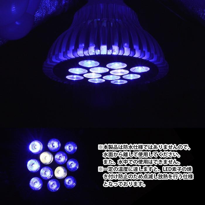 青10白2】24W(2W×12) 電球 E26 口金 水槽 用 照明 植物育成 青10白2】24W(2W×12) 電球 E26 口金 水槽 用 照明 植物育成