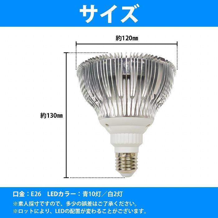 【青10白2】24W(2W×12) 電球 E26 口金 水槽 用 照明 植物育成 スポット ライト 12LED アクアリウム 電球 水草 サンゴ 熱帯魚 |  | 04