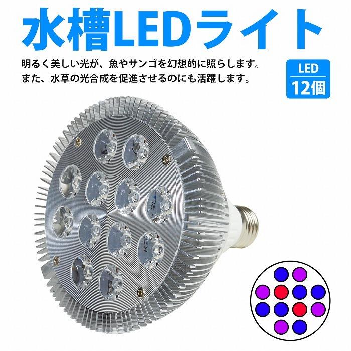 【青6/赤2/紫外線4】24W(2W×12) 電球 E26 口金 水槽 用 照明 植物育成 スポット ライト 12LED アクアリウム 電球 水草 |  | 01