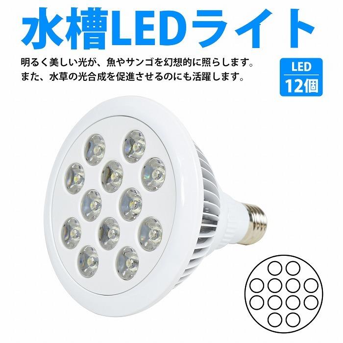 アクアリウム 電球 12 LED 白12 水槽 用 24W スポット ライト E26 口金