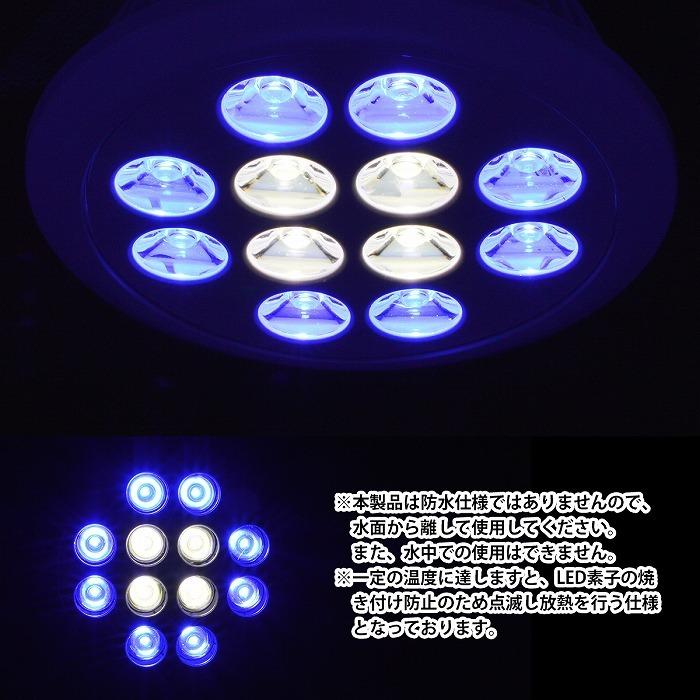 水槽 用 スポット ライト 24W 電球 12LED 青8白4 口金 E26