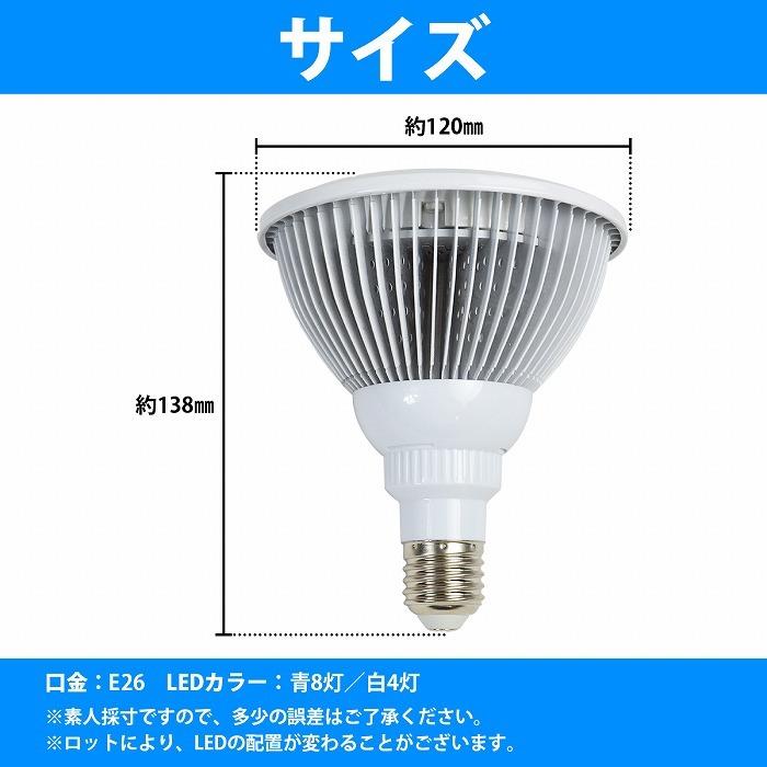水槽 用 スポット ライト 24W 電球 12LED 青8白4 口金 E26