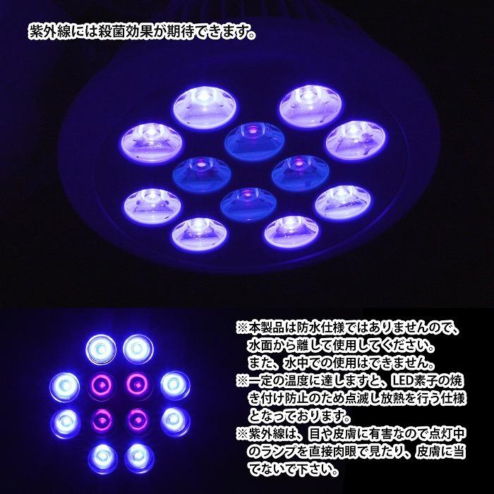 水槽 用 スポット ライト 24W 電球 12LED 青8/紫外線4 口金 E26