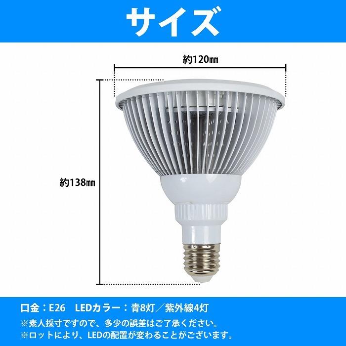 LED 3Wライト　2白1青30個 観賞魚、植物、水槽など多用 楽天市場】「着後レビューで特典」 水槽ライト アクアリウム