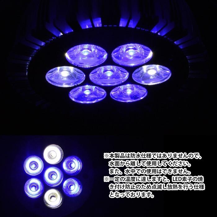 水槽 用 スポット ライト 電球 7LED 14W 青5/白2灯 口金 E26