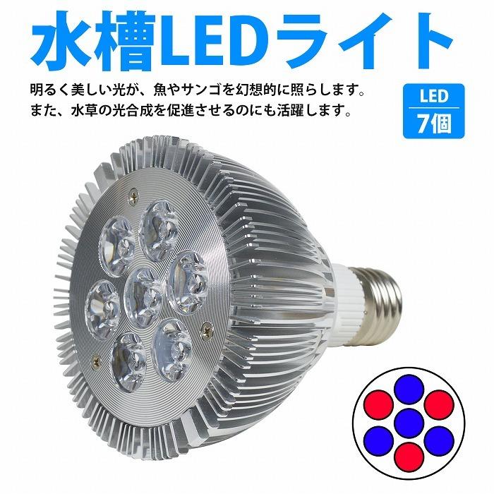 水槽 用 スポット ライト 14W 電球 7LED 青4/赤3灯 口金 E26 アクアリウム 電球 照明 植物育成 水草 サンゴ 熱帯魚 観賞魚 |  | 01