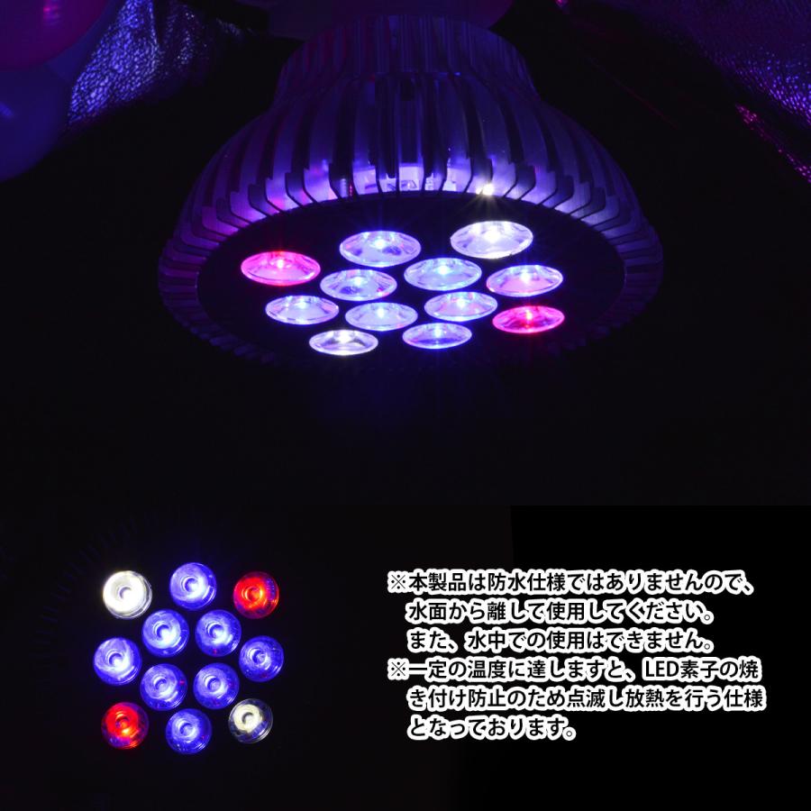 激安大特価 12led 交換電球 スポットライト 24w 2w 12 青8 赤4 E26 水槽 照明 水草 サンゴ 熱帯魚 観賞魚 植物育成 Shipsctc Org