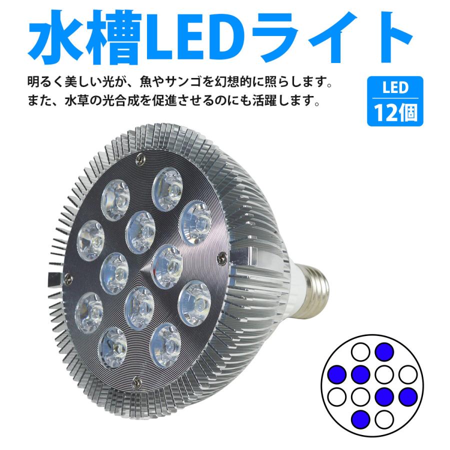 【白6/青6】24W(2W×12) 電球 E26 口金 水槽 用 照明 植物育成 スポット ライト 12LED アクアリウム 電球 水草 サンゴ 熱帯魚 |  | 01