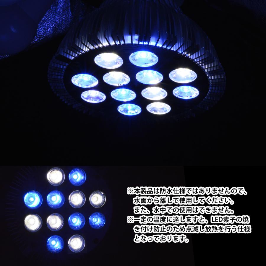 【白6/青6】24W(2W×12) 電球 E26 口金 水槽 用 照明 植物育成 スポット ライト 12LED アクアリウム 電球 水草 サンゴ 熱帯魚 |  | 03