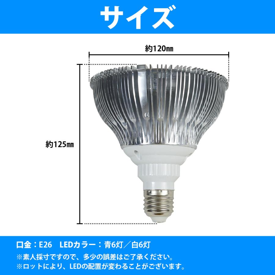 【白6/青6】24W(2W×12) 電球 E26 口金 水槽 用 照明 植物育成 スポット ライト 12LED アクアリウム 電球 水草 サンゴ 熱帯魚 |  | 04