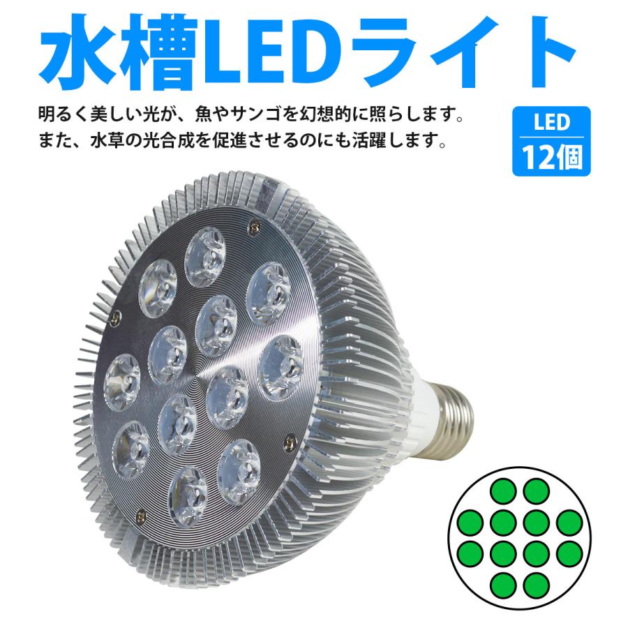 【緑12LED】24W(2W×12) 電球 E26 口金 水槽 用 照明 植物育成 スポット ライト 12LED アクアリウム 電球 水草 サンゴ 熱帯魚 |  | 01