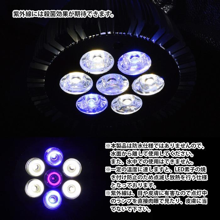 水槽用 スポット ライト 14W 電球 7LED 白4/青2/紫外線1灯UV 水槽用 スポット ライト 14W 電球 7LED 白4/青2/紫外線1灯UV