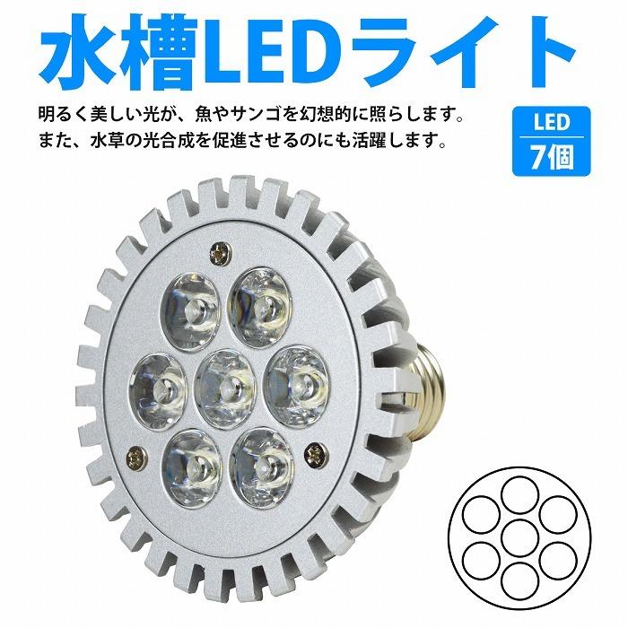 7LED 白7 7W 口金 E26 水槽 用 スポット ライト 電球 アクアリウム 電球 照明 植物育成 水草 サンゴ 熱帯魚 観賞魚 LED |  | 01