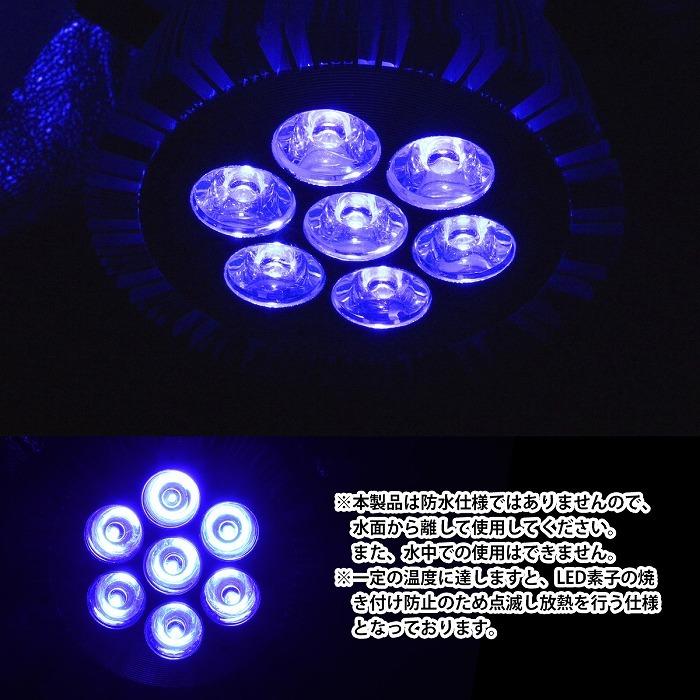 水槽 用 スポット ライト 14W 電球 7LED 青7灯 口金 E26 アクアリウム 電球 照明 植物育成 水草 サンゴ 熱帯魚 観賞魚 |  | 03