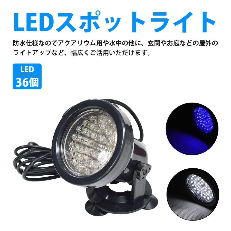 SOMABITO 38灯　金魚　青&GLOBE PODセット SOMABITO 38灯 金魚 青&GLOBE PODセット 000000053319_zOCRG20.jpg