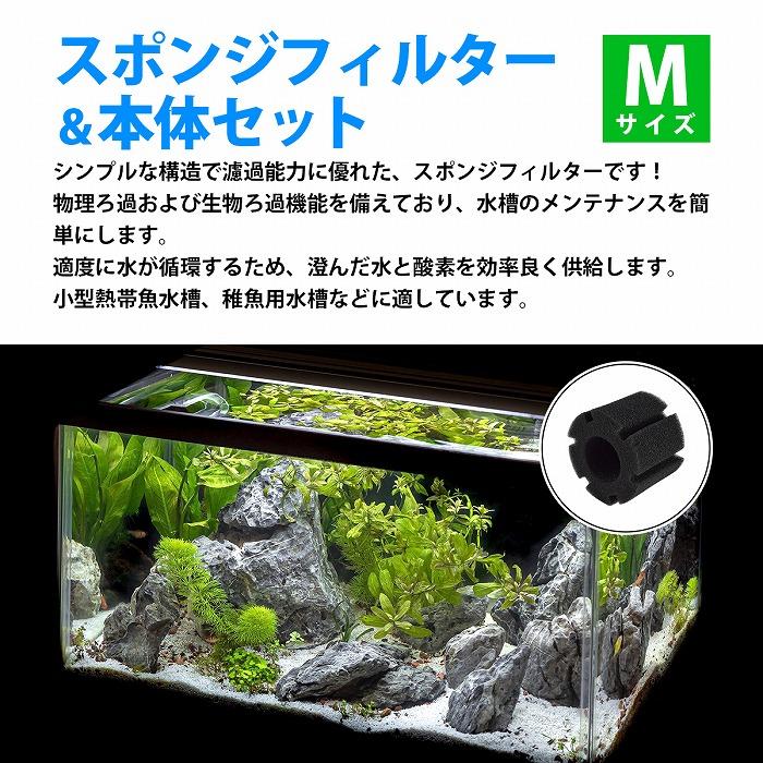 『Mサイズ』 5個 スポンジフィルター 本体 セット 円柱 スポンジ 金魚 メダカ 水槽 濾過 ろ過 内径 4mm チューブ XY-180 |  | 01