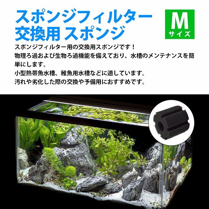 『Mサイズ』 10個 スポンジフィルター 交換用 円柱 スポンジ 金魚 メダカ 水槽 濾過 ろ過 高さ6.5cm 直径7cm 穴径3cm |  | 01