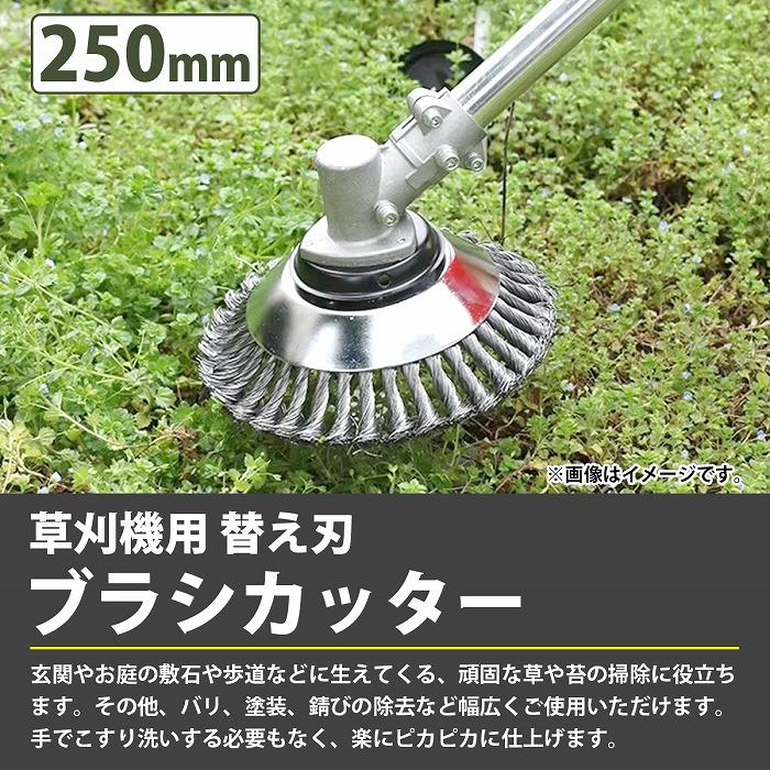 25cm 250mm 2枚セット 草刈機 替え刃 スチール ワイヤー ヘッド ブレード ブラシ チップソー 雑草 苔 錆 草刈り機 刈払機 2個 |  | 01