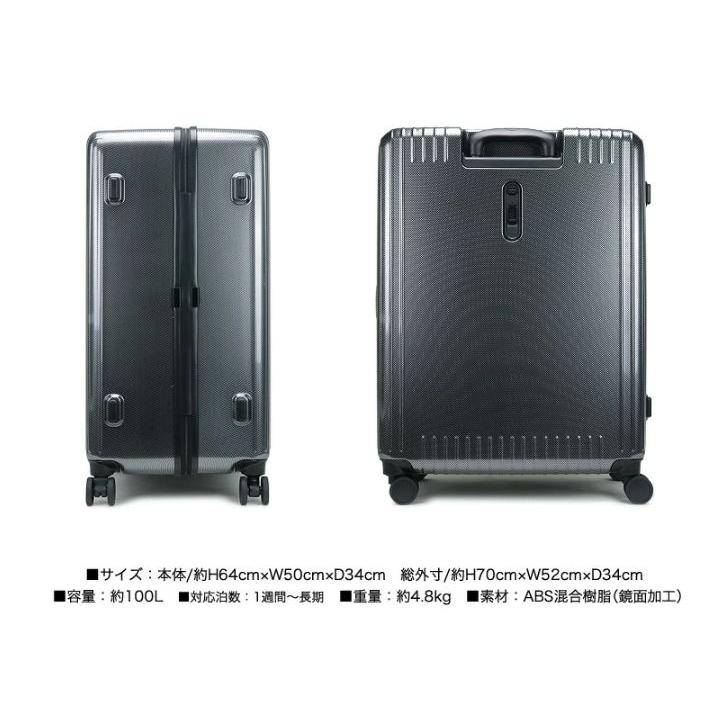 ace. TOKYO LABEL エース パリセイド 3ーZ 06916 ＊100リットル 1週間