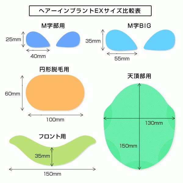 【ポイント10％中6/7まで】頭皮一体増毛 ヘアーインプラントEX フロント用　※装着にはテープかシリコンが必要ですの画像