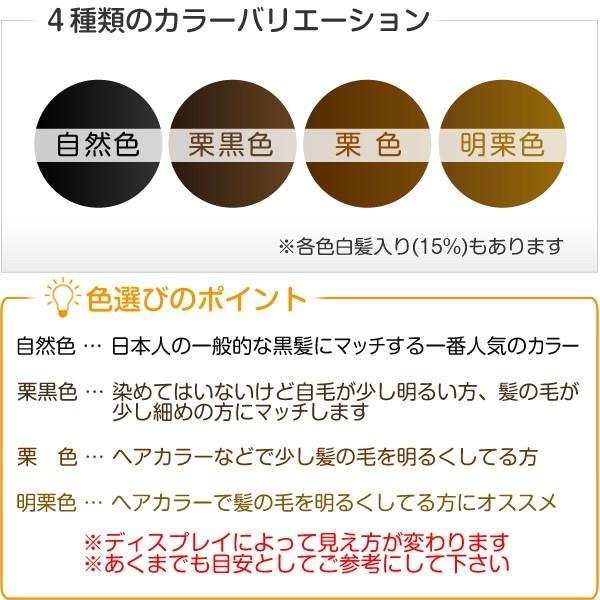 ヘアーインプラントEX　天頂部用α【アルファ】かつら ウィッグ ※装着にはテープかシリコンが必要です 増毛 頭頂部の画像