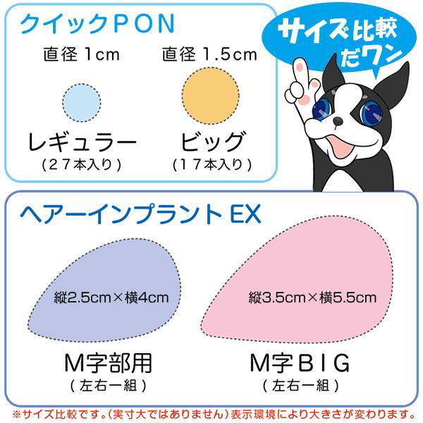 【ポイント10％中6/7まで】【リピーターパック】ヘアーインプラントEX Ｍ字部用ＢＩＧの画像